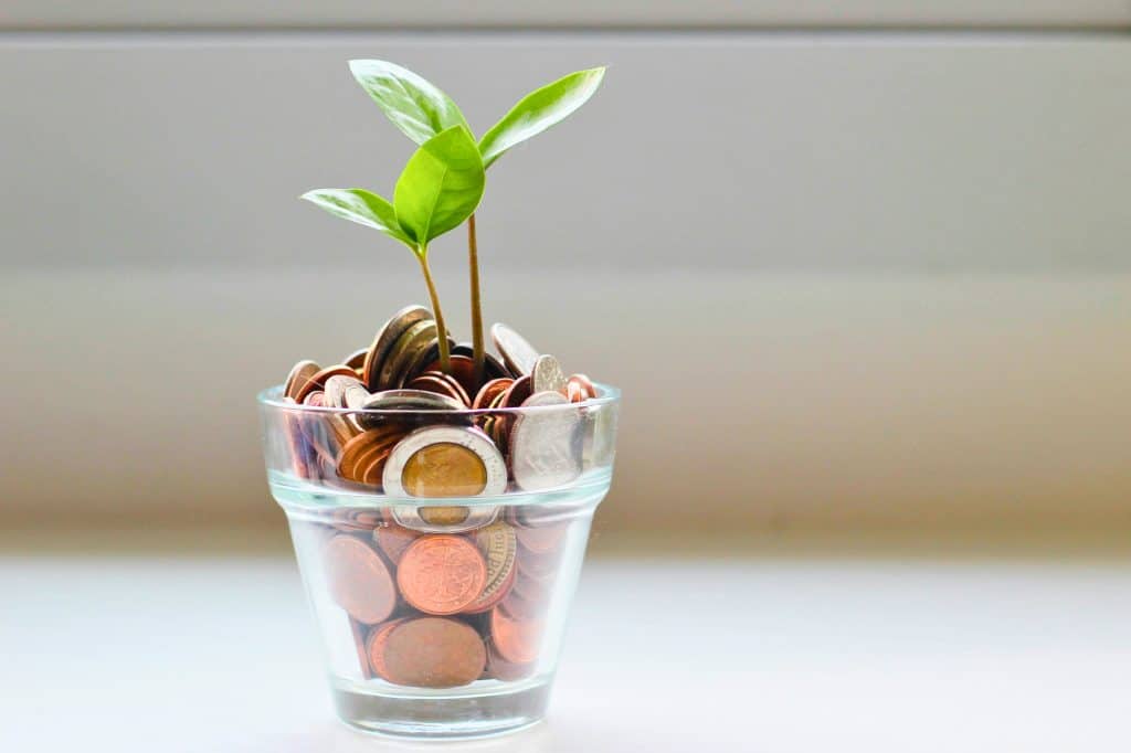 Small glass pot filled with coins and a tiny green sprout.